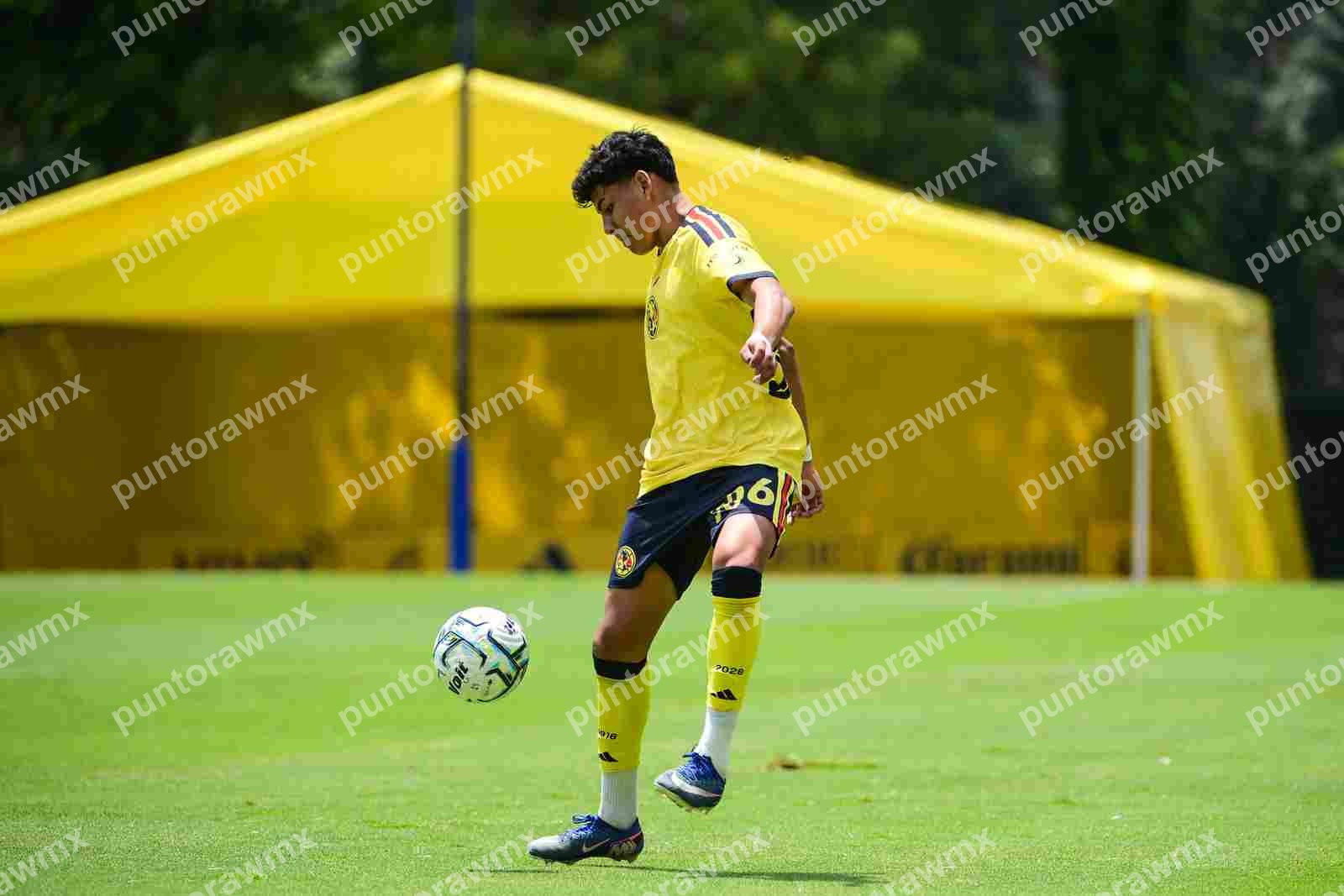 Xolos — J7 América 4-0 Xolos Sub19