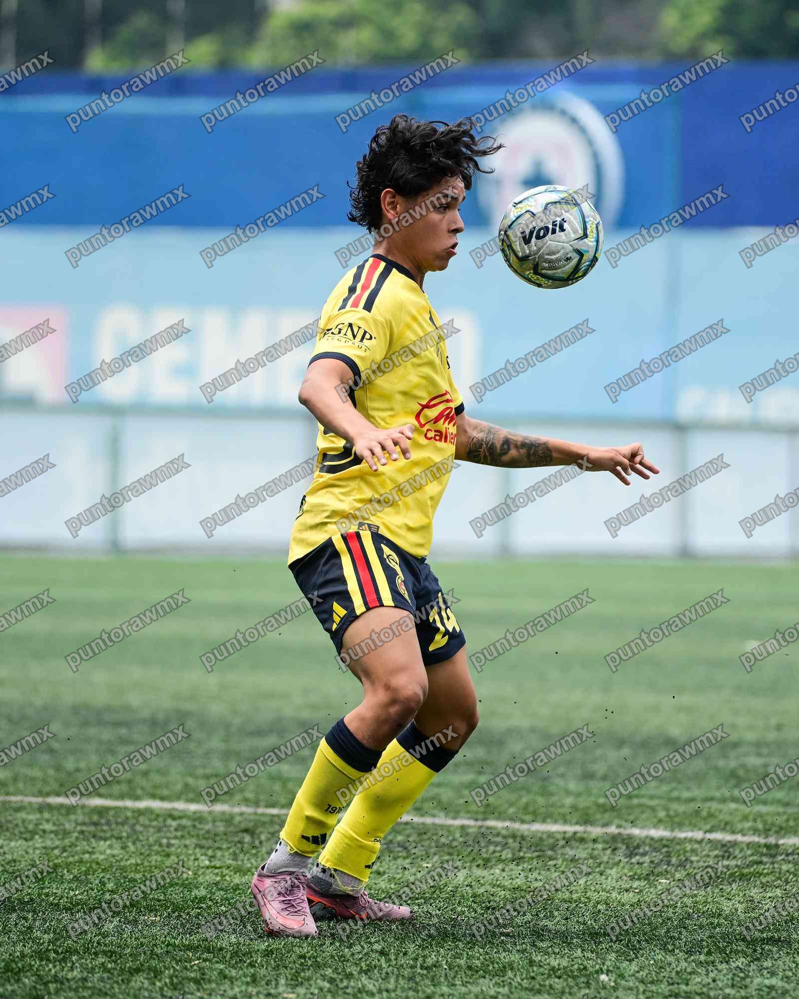 J8 Cruz Azul Vs América Sub19 — foto 16
