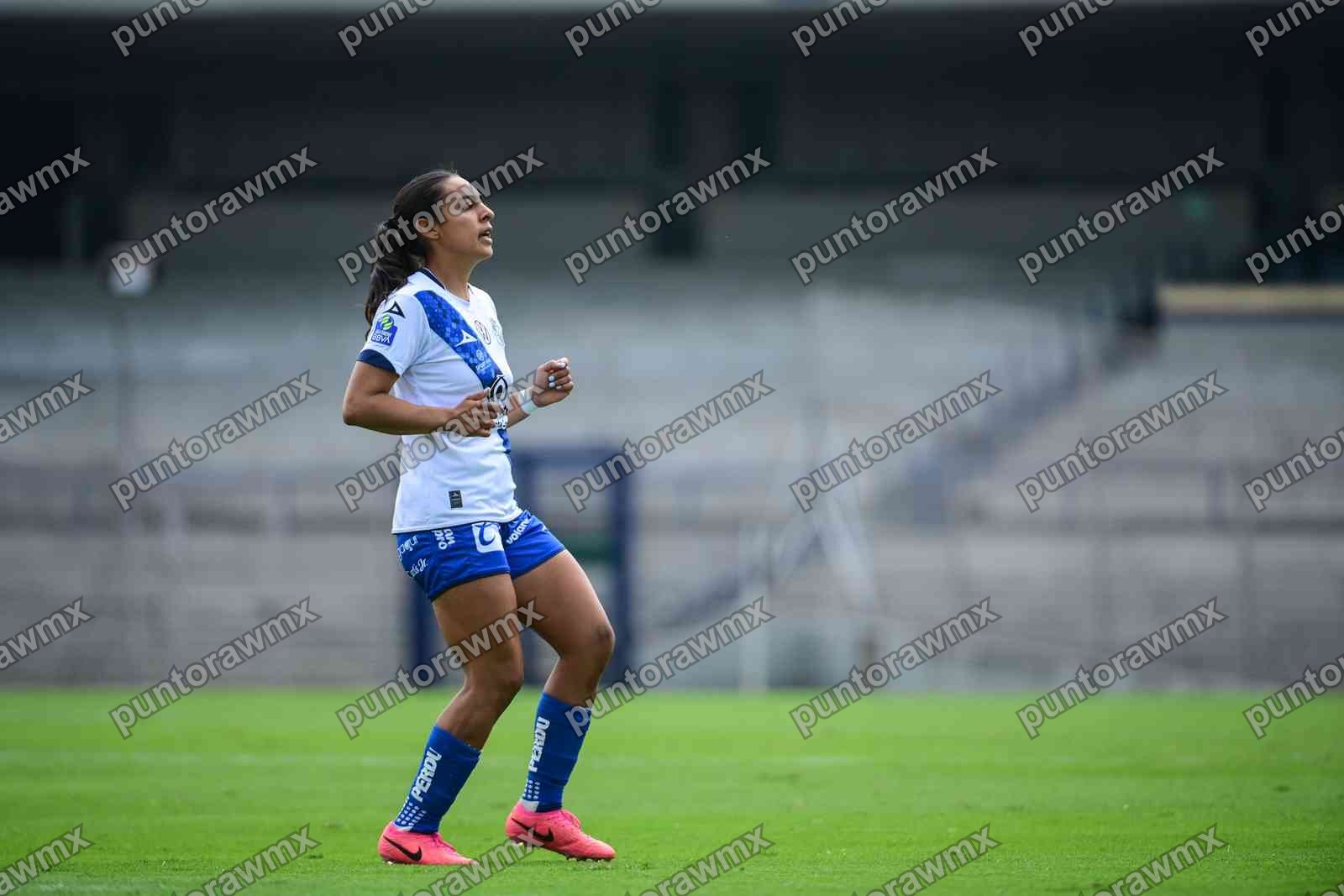 Puebla — J10 Pumas 2-0 Puebla