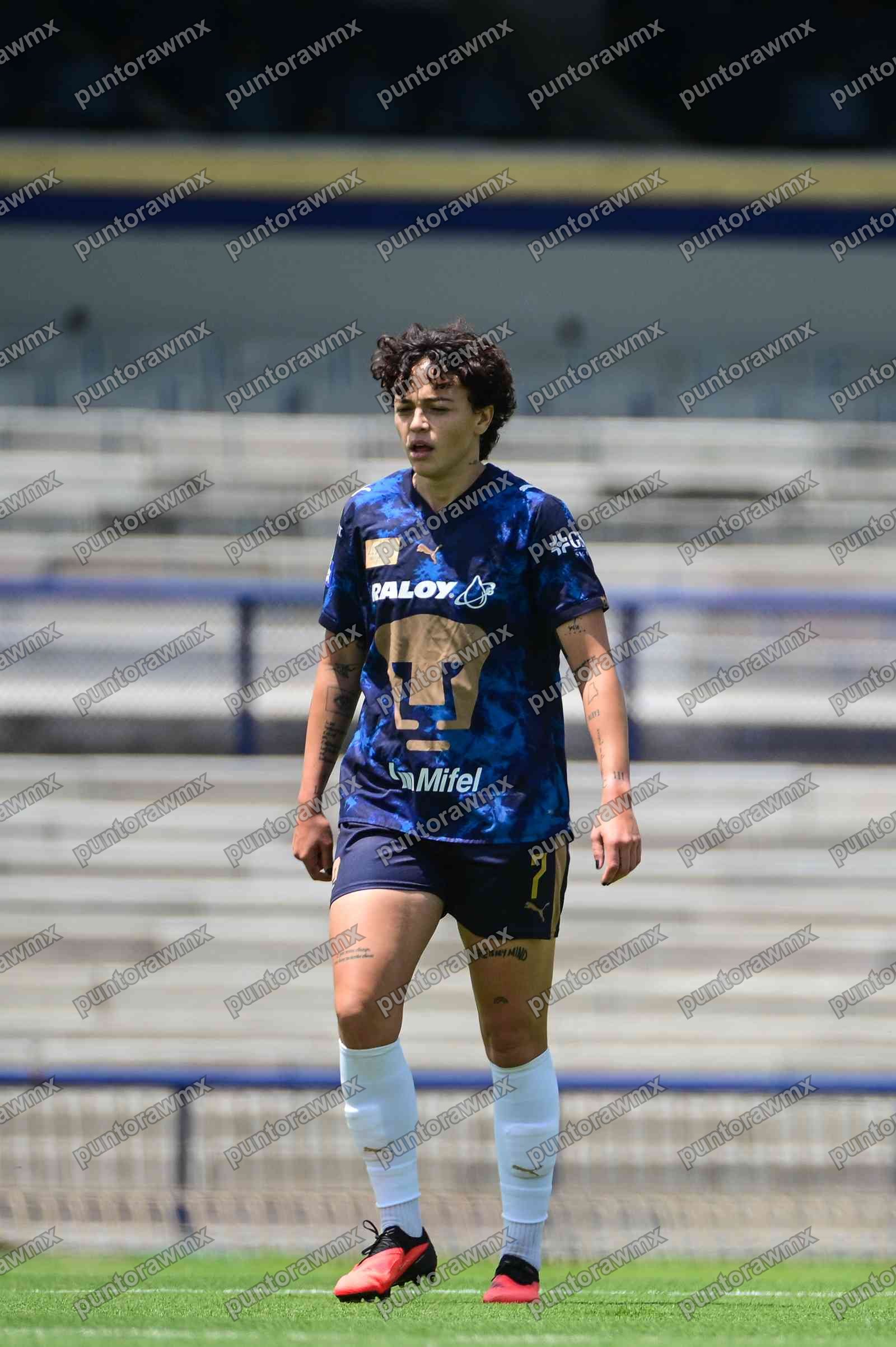 Puebla — J10 Pumas 2-0 Puebla
