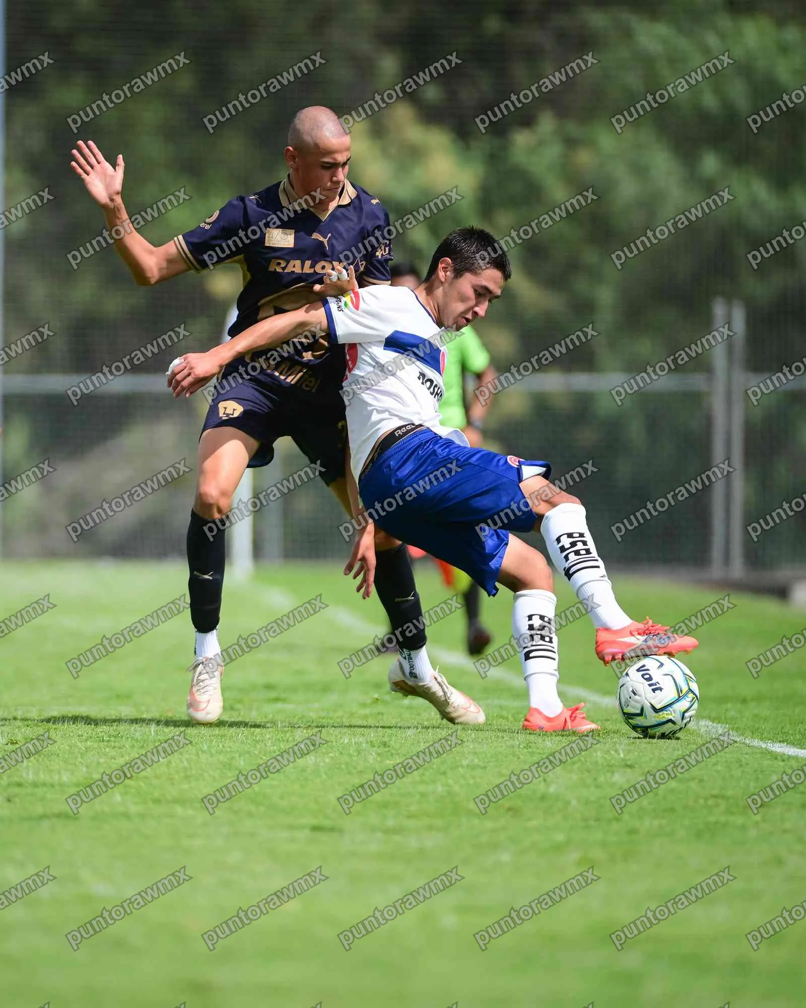 Toluca — J9 Pumas 0-3 Toluca Sub17