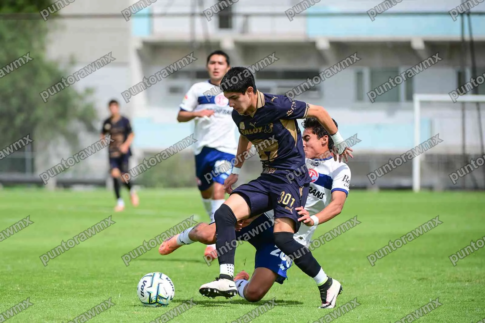 Toluca — J9 Pumas 0-3 Toluca Sub17
