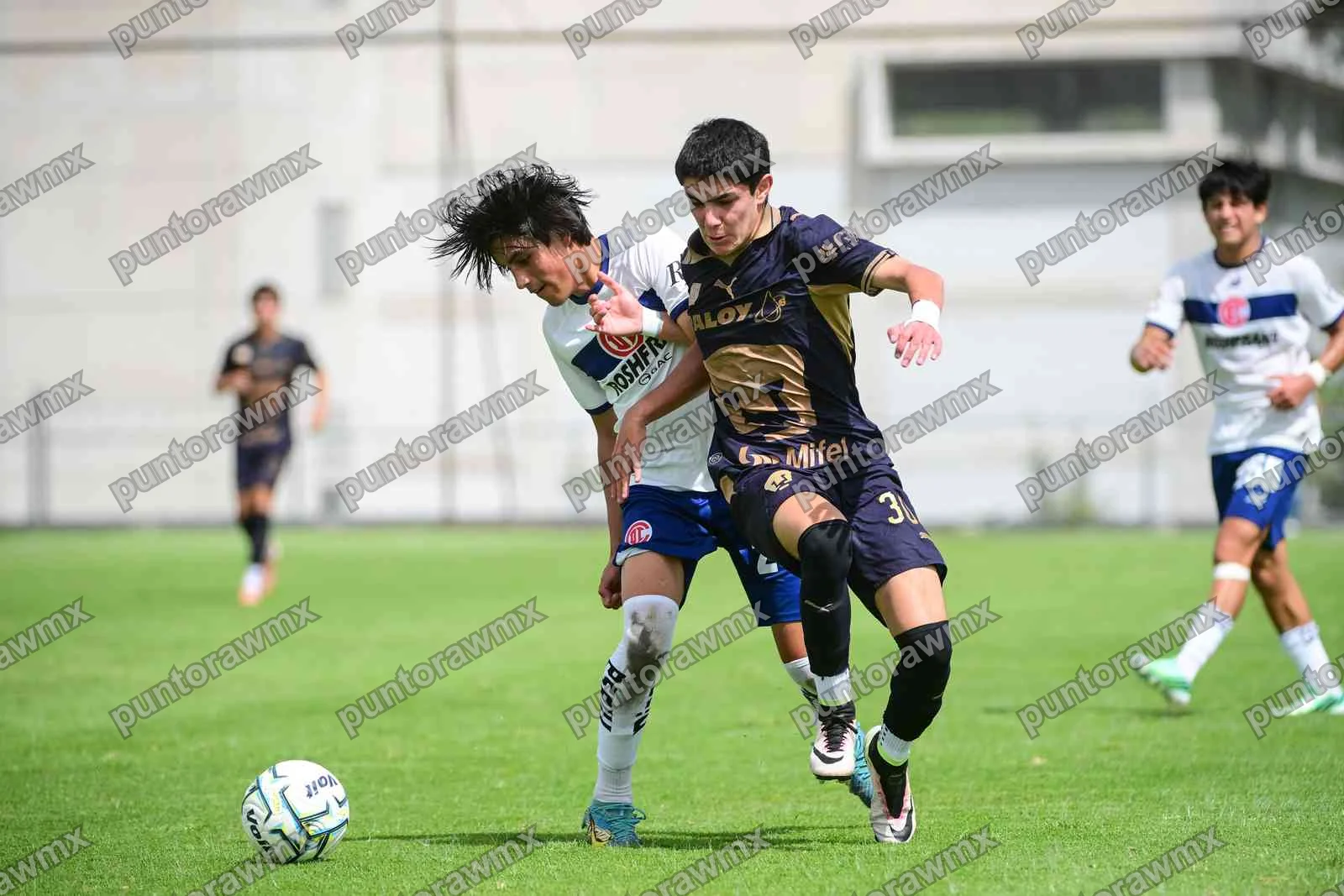 Toluca — J9 Pumas 0-3 Toluca Sub17