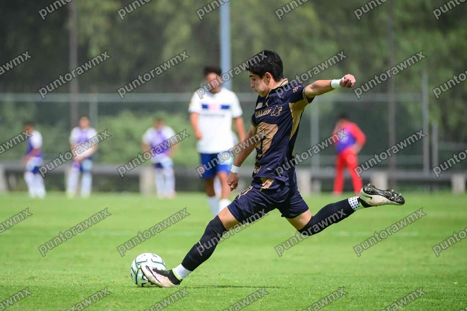 Toluca — J9 Pumas 0-3 Toluca Sub17