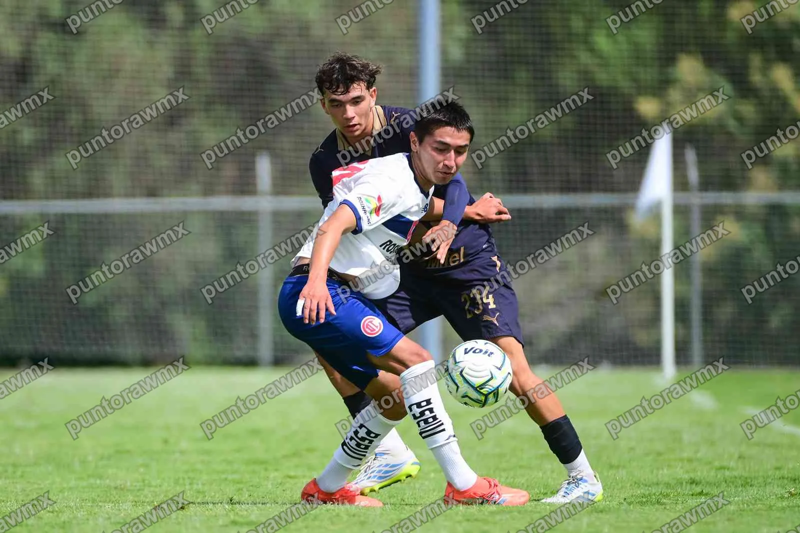 Toluca — J9 Pumas 0-3 Toluca Sub17