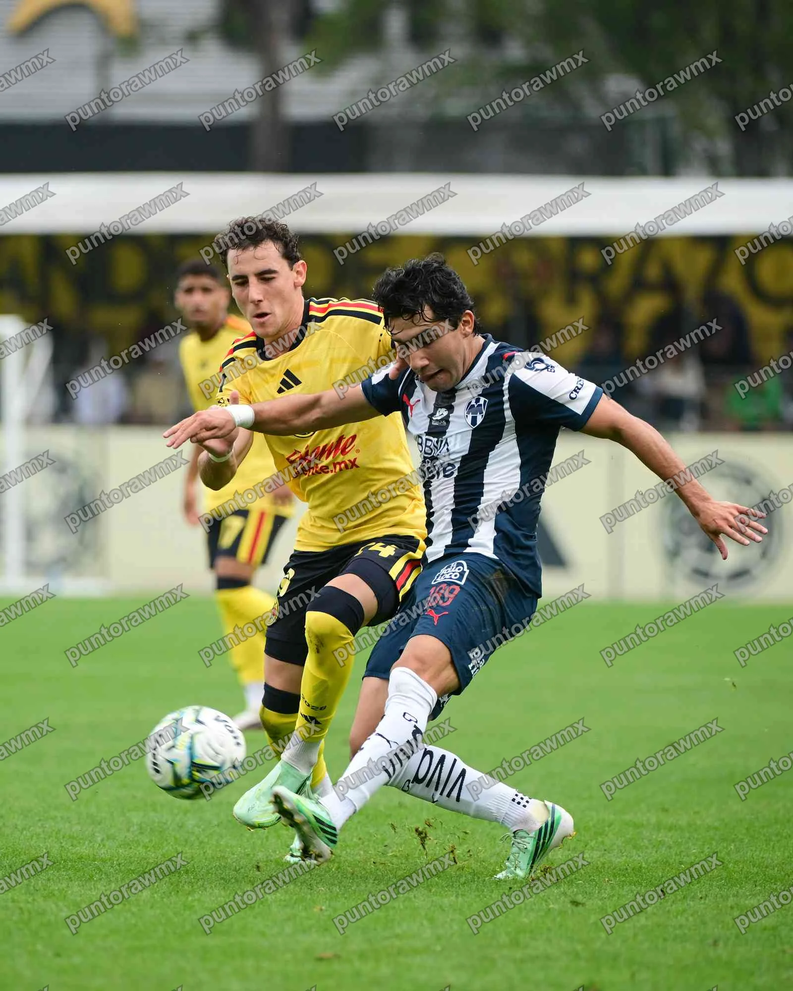 Monterrey — J11 América Vs Monterrey Sub21