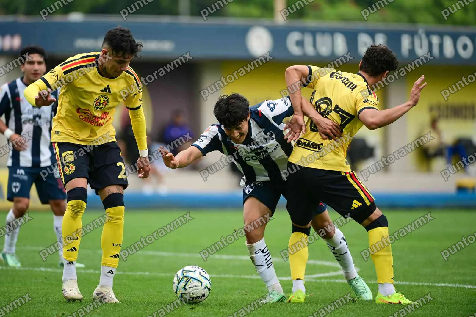 Monterrey — J11 América Vs Monterrey Sub21