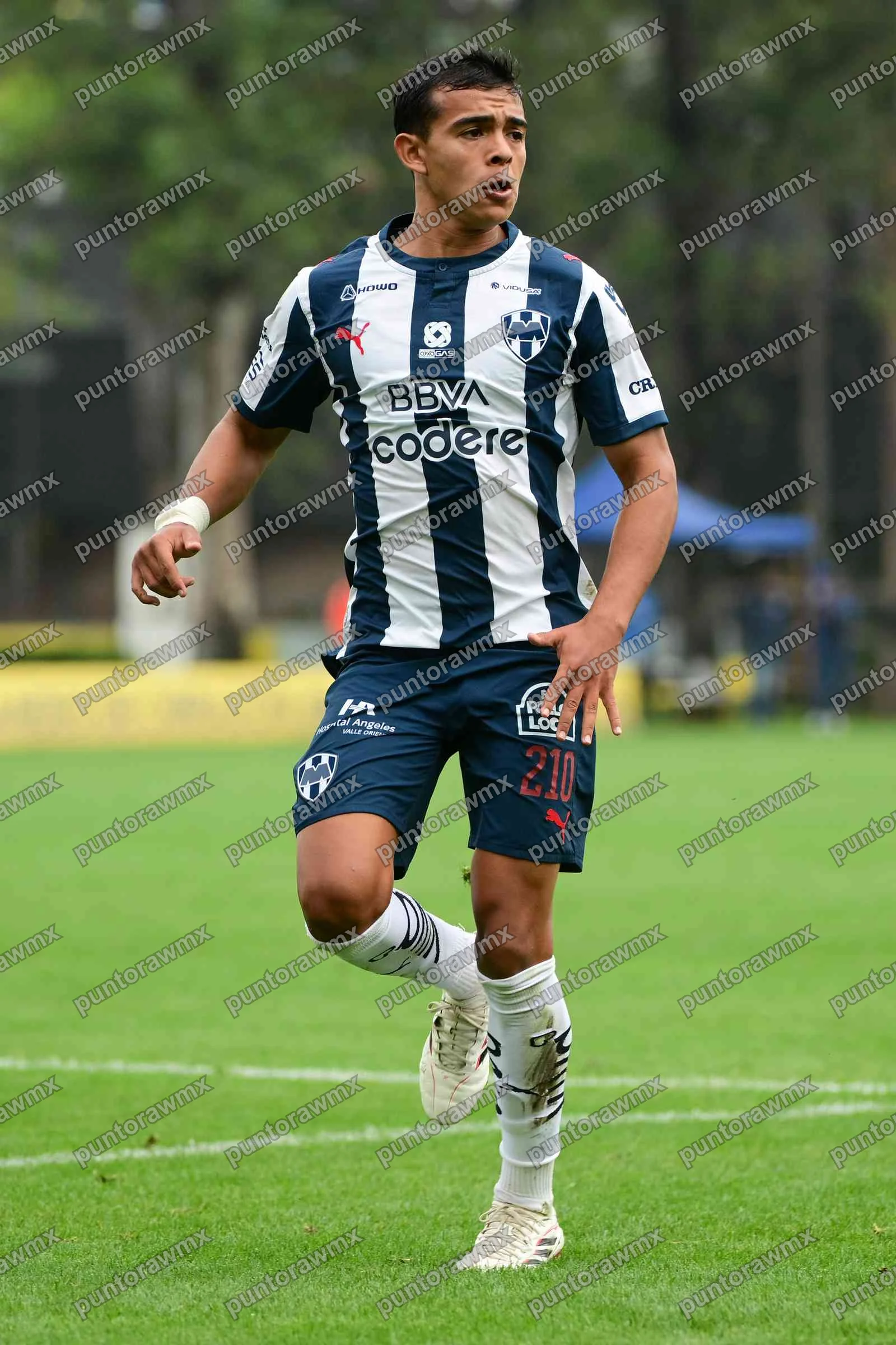 J11 América Vs Monterrey Sub21 — foto 9
