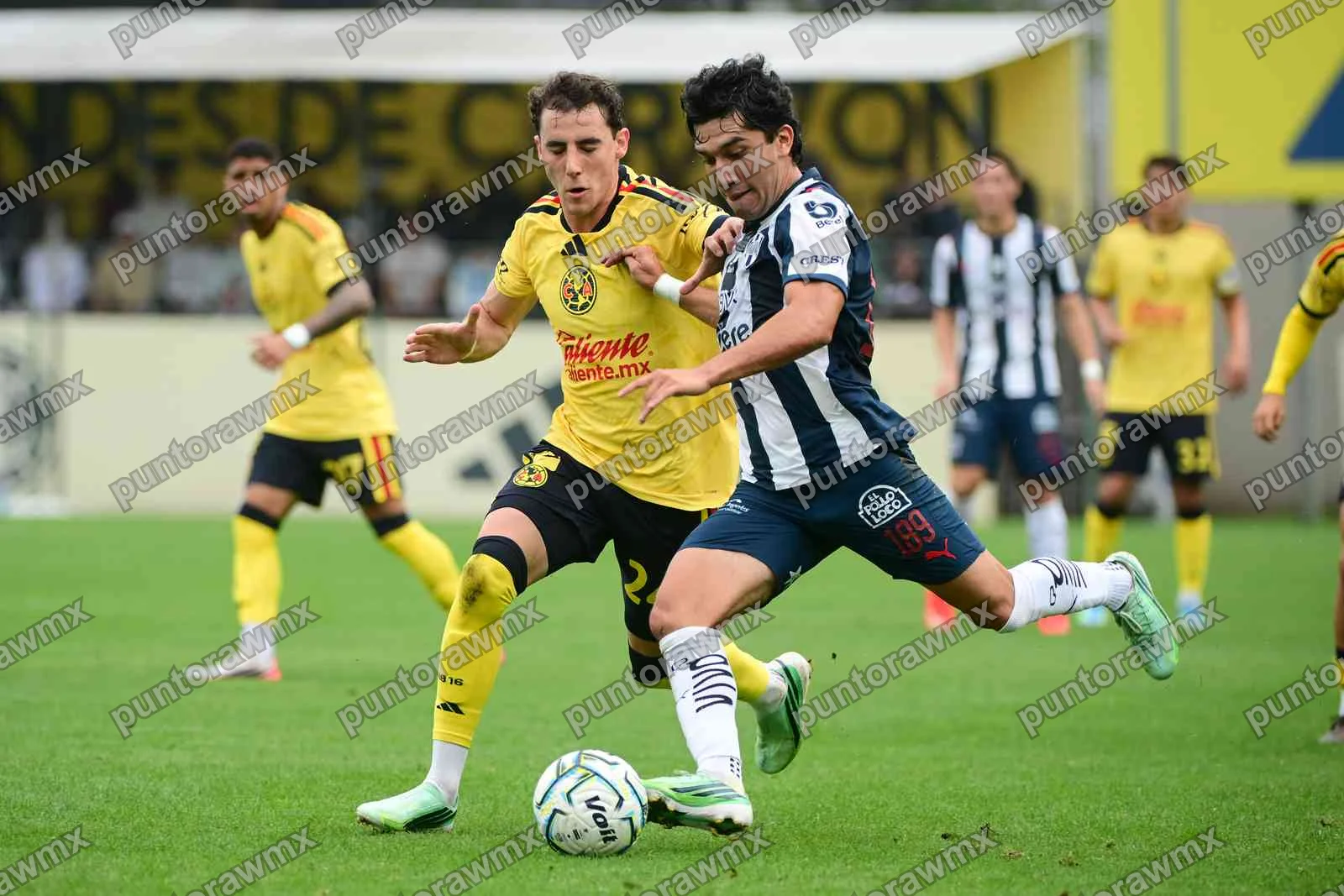 J11 América Vs Monterrey Sub21 — foto 24