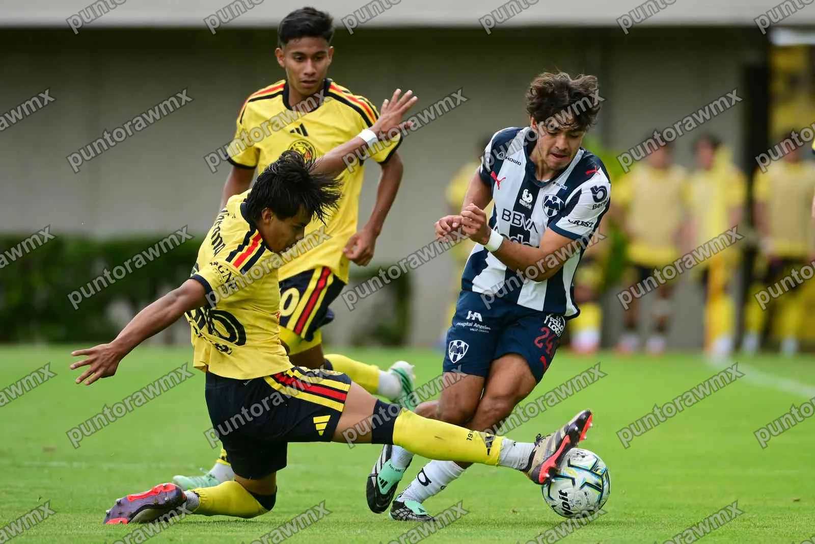 Monterrey — J11 América 0-1 Monterrey Sub19