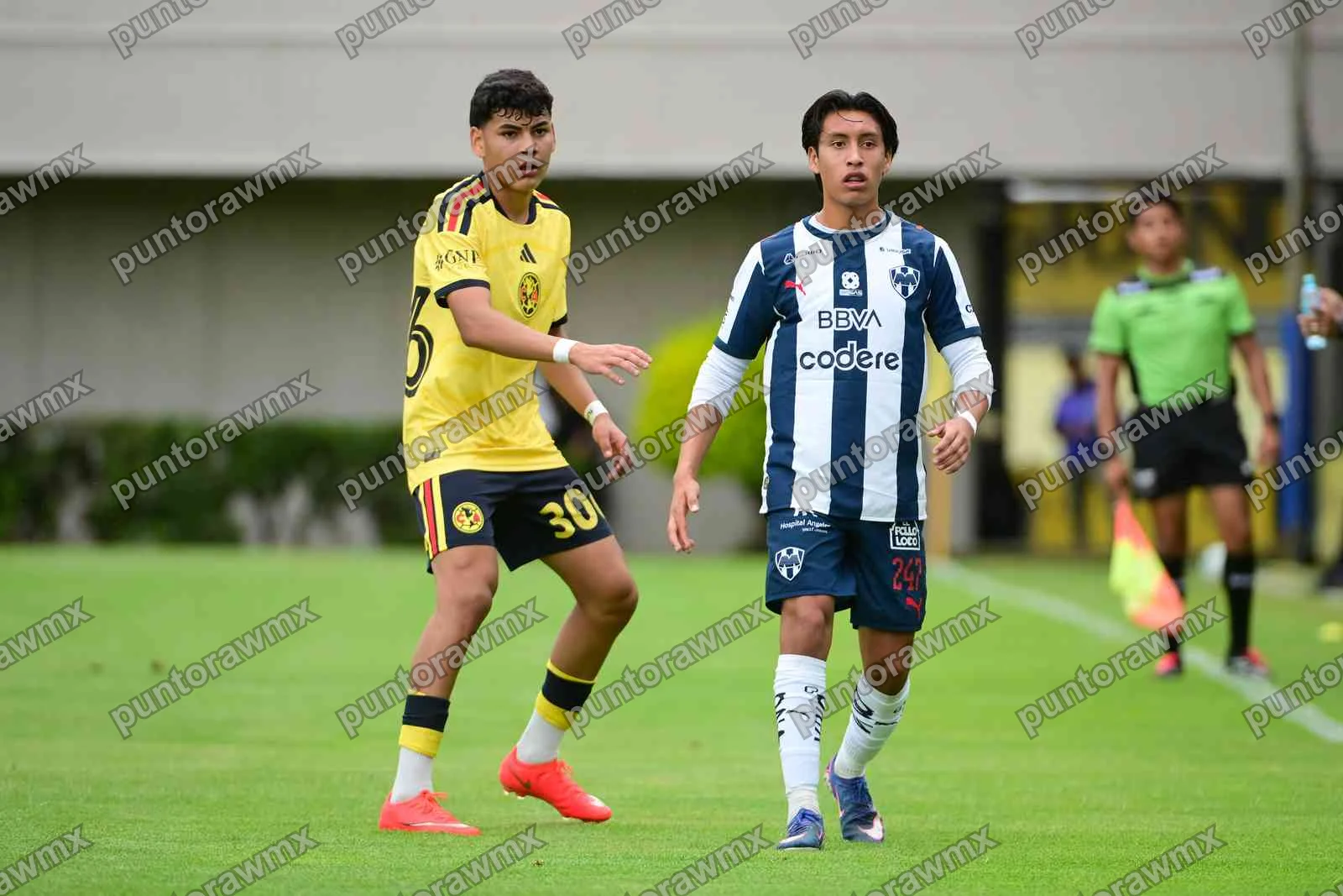 J11 América 0-1 Monterrey Sub19 — foto 12